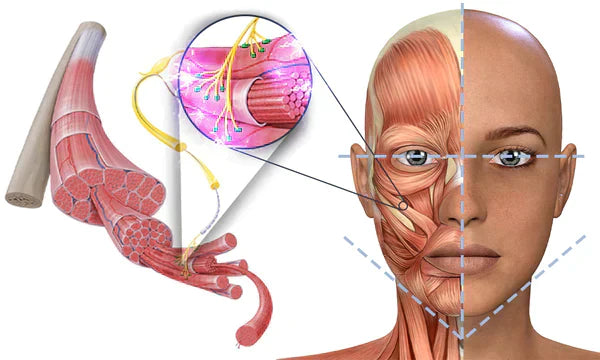 GFOUK™ EMSculpt V-Face Beauty Sleeping Device