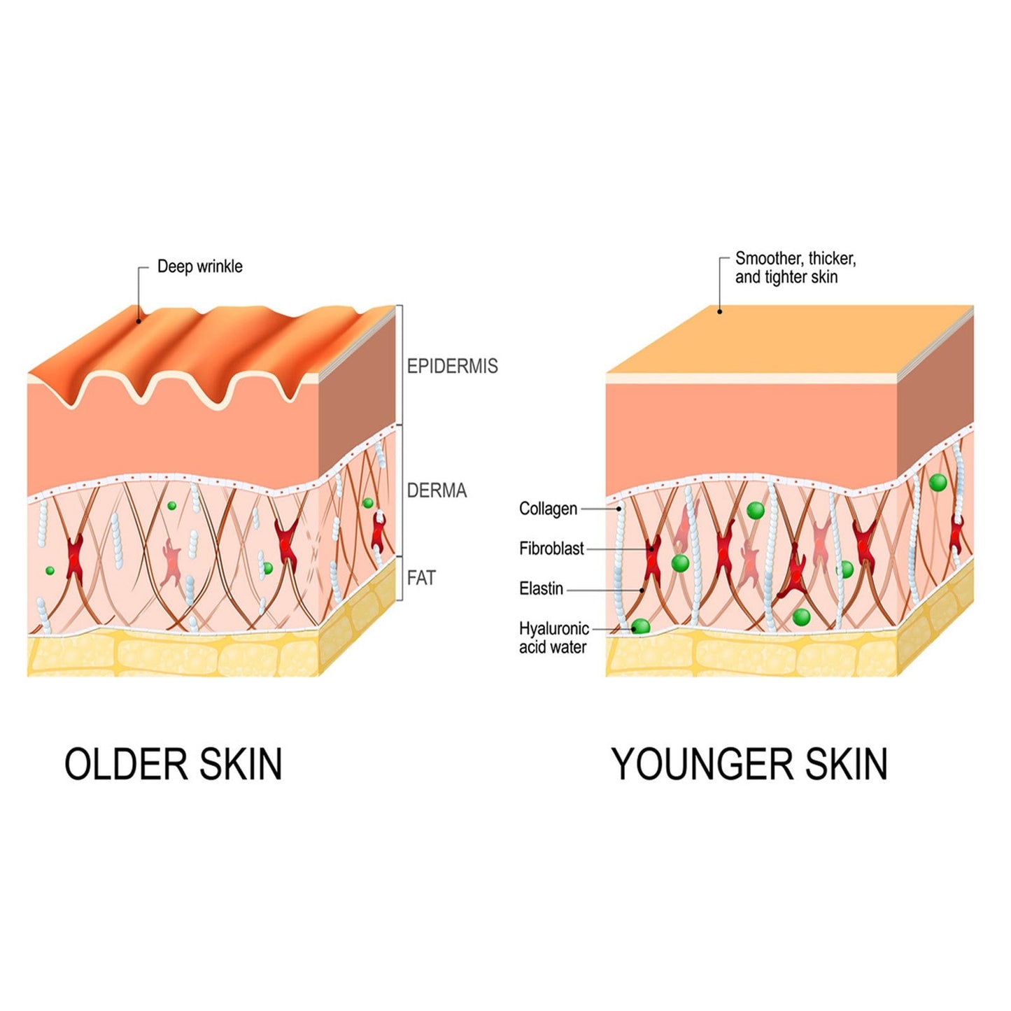 Anti-Aging Serum Collagen Firming Facial Oil To Remove Wrinkles