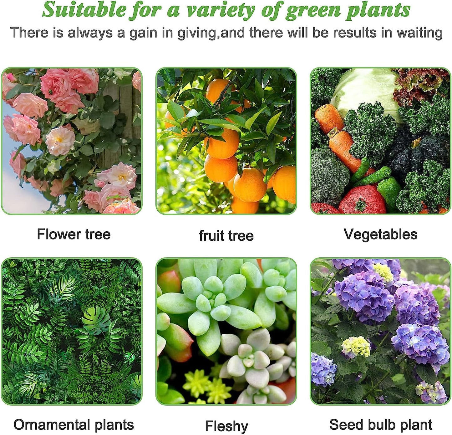 Plant Growth Enhancer Supplement