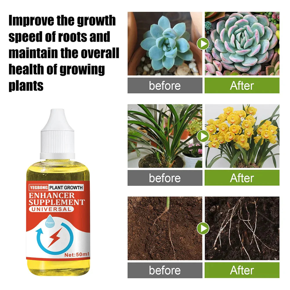 Plant Growth Enhancer Supplement