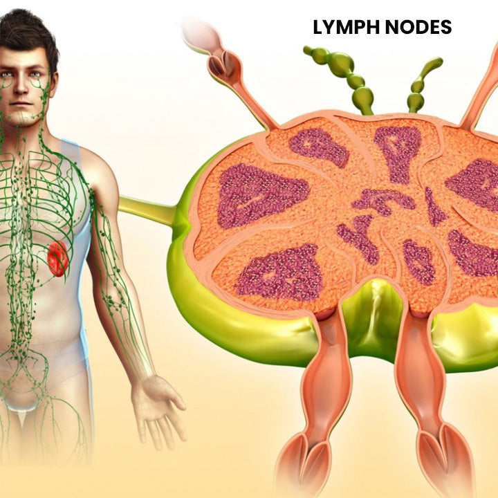 Anti-Swelling Lymphatic Detox Ointment
