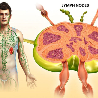 Anti-Swelling Lymphatic Detox Ointment