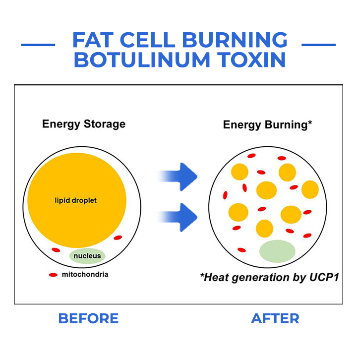 Youthfully™ Botox Face Serum
